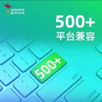 威刚 (ADATA) SU650 512G SATA固态硬盘 高速读写 笔记本 台式机拓展 SATA3.0接口