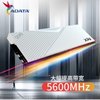 威刚（ADATA）XPG 威龙 LANCER 16G 5600 DDR5内存条 台式机内存电脑内存 釉白