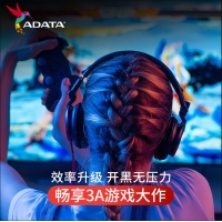 威刚（ADATA）XPG GAMMIX S50 Pro 1TB M.2接口PCIe 4.0固态硬盘SSD 台式机笔记本电脑