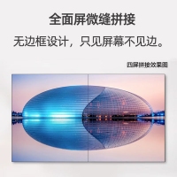 飞利浦（PHILIPS）242E2FE 23.8英寸 75Hz刷新LGD-IPS 四边微边框全面屏 可升降办公家用显示器