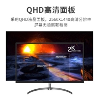 飞利浦（PHILIPS）325E8 32英寸高清2K高刷显示器家用办公专业电竞游戏娱乐屏幕75hz设计师外接笔记本电脑PS5