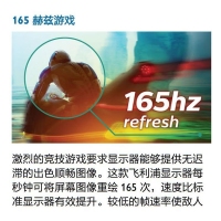 飞利浦（PHILIPS）322E1GSCZ 32英寸曲面游戏电竞显示器 1ms 165Hz 1500R曲率 电脑显示屏