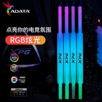 威刚(ADATA)XPG龙耀D500G 32GB(16GBX2)黑色彩包套装 DDR5 6000 C30海力士A die内存条