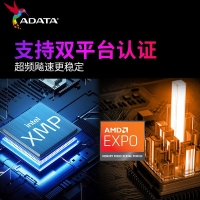 威刚XPG内存 BW300 32G 6400 小马甲(白)DDR5