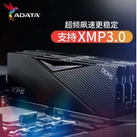 威刚（ADATA）威龙 D500黑 6000 16G LANCER 内存条DDR5 XMP3.0高频电脑台式机内存条