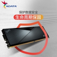 威刚（ADATA）威龙 D500黑 6000 16G LANCER 内存条DDR5 XMP3.0高频电脑台式机内存条