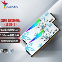 威刚龙耀DWROG DWROG RGB 吹雪 32G-6800(16GX2)灯条（釉白）DDR5