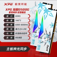 威刚龙耀DWROG DWROG RGB 吹雪 32G-6800(16GX2)灯条（釉白）DDR5