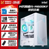 【酷睿i5 14600KF主机】酷睿i5 14600KF/B760/32G/1TB/RTX4060电竞游戏主机