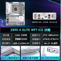 技嘉（GIGABYTE）冰雕Z890 AORUS ELITE WIFI7 ICE DDR5主板