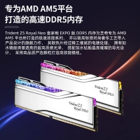 芝奇（G.SKILL）皇家戟 32GB(16Gx2)套装 DDR5 6000频率 EXPO版RGB灯条-银色/C28