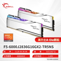 芝奇（G.SKILL）皇家戟 32GB(16Gx2)套装 DDR5 6000频率 EXPO版RGB灯条-银色/C28