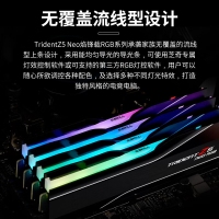 芝奇（G.SKILL）焰锋戟 32GB(16Gx2) DDR5 6000 RGB灯条/XMP&EXPO/C30