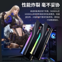 芝奇（G.SKILL）焰锋戟 32GB(16Gx2) DDR5 6000 RGB灯条/XMP&EXPO/C30