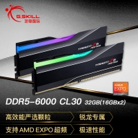 芝奇（G.SKILL）焰锋戟 32GB(16Gx2) DDR5 6000 RGB灯条/XMP&EXPO/C30