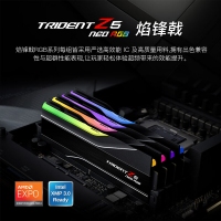 芝奇（G.SKILL）焰锋戟 32GB(16Gx2) DDR5 6000 RGB灯条/XMP&EXPO/C30