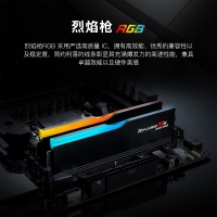 芝奇（G.SKILL）烈焰枪 32GB(16Gx2) DDR5 6000 RGB 灯条-黑色/AMD EXPO/C28