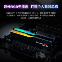 芝奇（G.SKILL）烈焰枪 32GB(16Gx2) DDR5 6000 RGB 灯条-黑色/AMD EXPO/C28