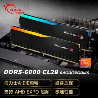 芝奇（G.SKILL）烈焰枪 64GB(32Gx2) DDR5 6000 RGB 灯条-黑色/AMD EXPO/C28