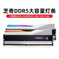芝奇（G.SKILL）幻锋戟XMP 64GB(32Gx2) DDR5 6800 A-Die/C34大容量台式机RGB内存灯条套装