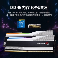 芝奇（G.SKILL）幻锋戟XMP 64GB(32Gx2) DDR5 6400 A-Die/C34大容量台式机RGB内存灯条套装