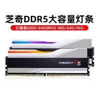 芝奇（G.SKILL）幻锋戟XMP 64GB(32Gx2) DDR5 6400 A-Die/C34 银色 台式机RGB内存灯条套